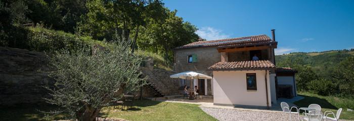 Struttura esterna circondata da ulivi