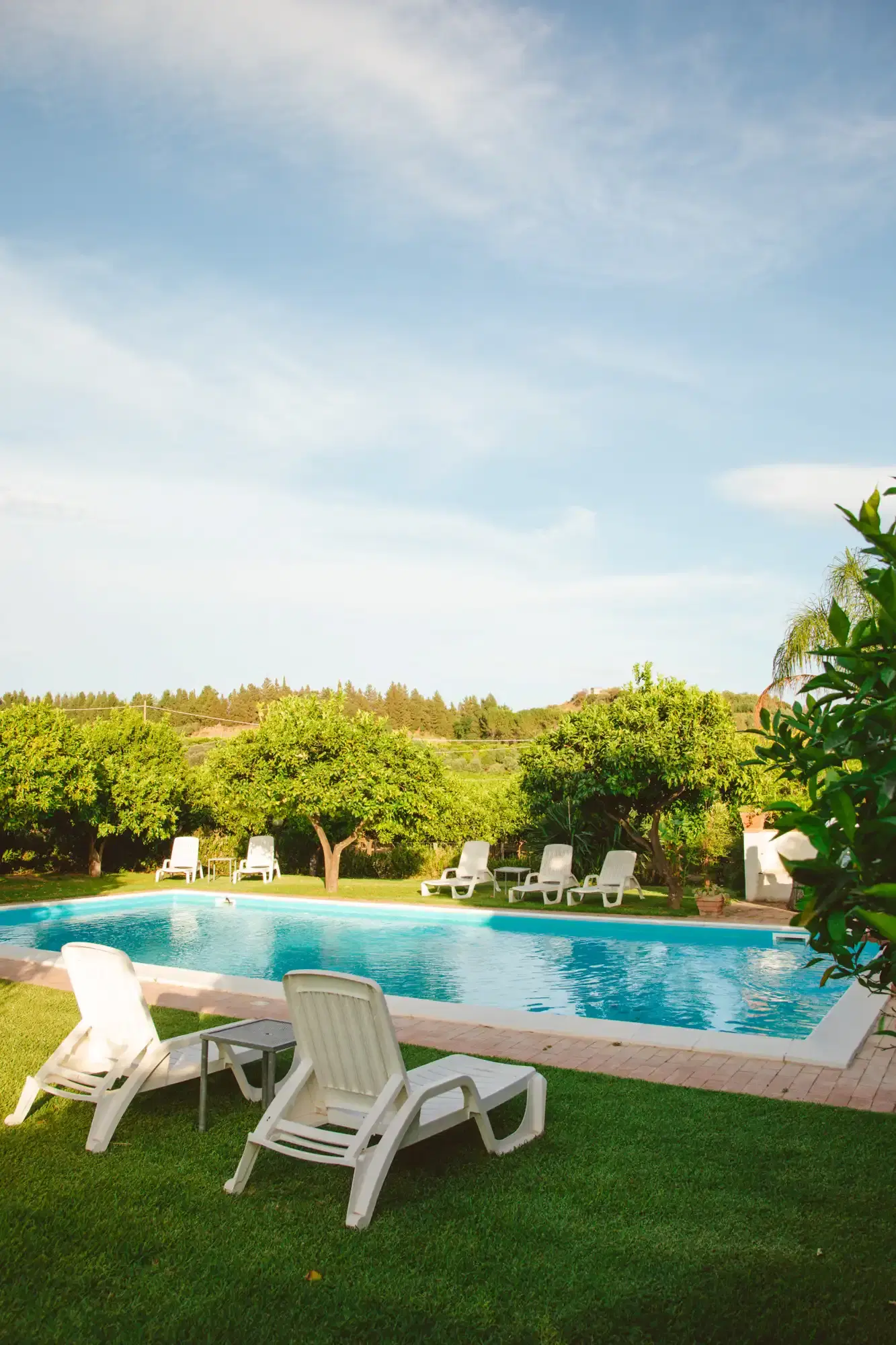 Ristorante e veranda con vista agrumeti
