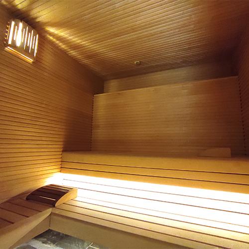 Biosauna in legno di ontano