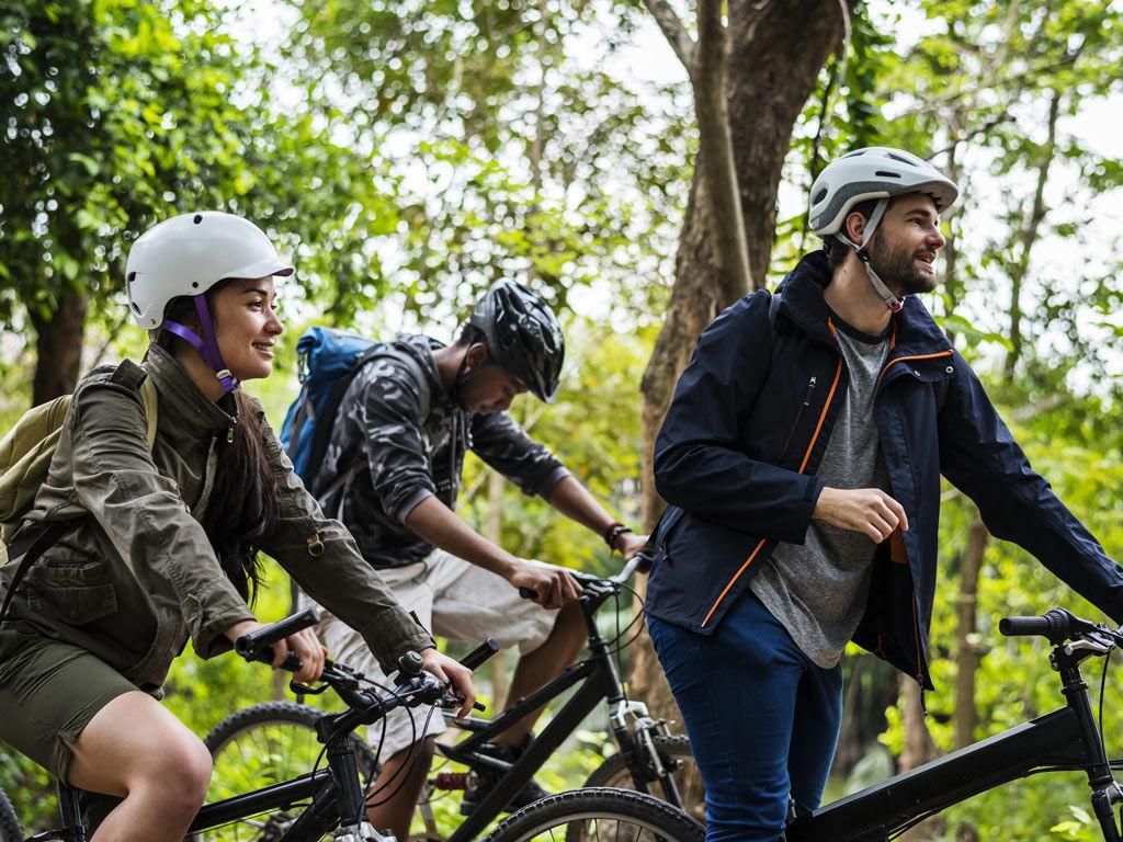 Mountain bike disponibili