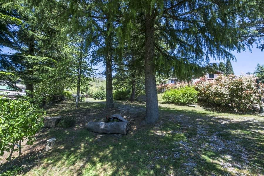 Giardino e zona relax