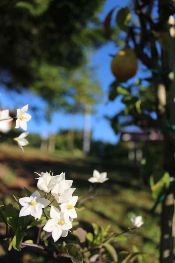 Area benessere e relax
