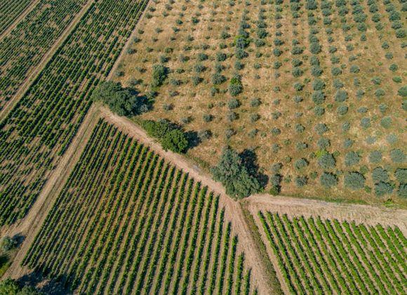 Paesaggio aereo della Maremma Toscana intorno al Falcone