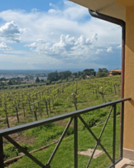 Galleria fotografica agriturismo