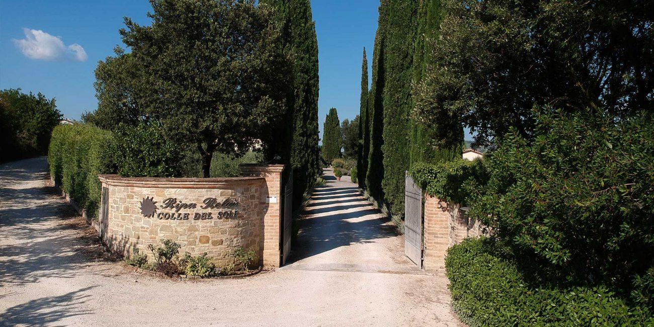 Piscina esterna immersa nel verde
