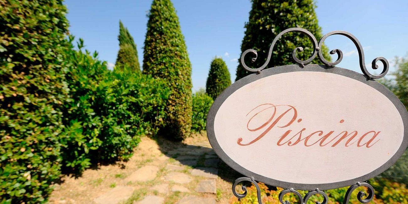 Area piscina con solarium