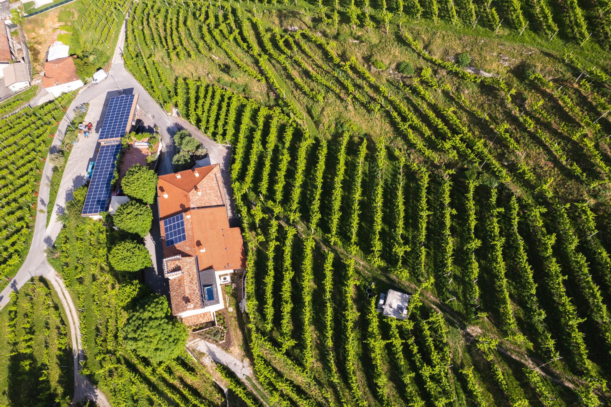 Vista aerea della struttura e vigneti circostanti