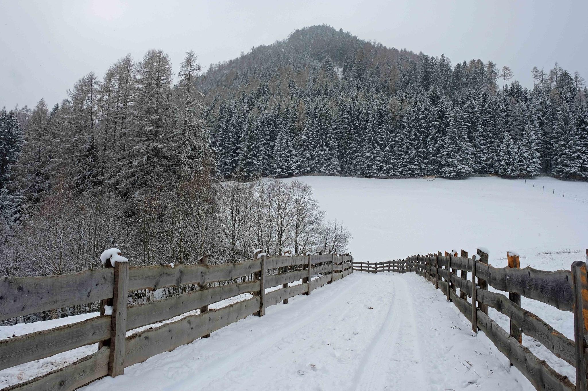 Valle di Stava paesaggio