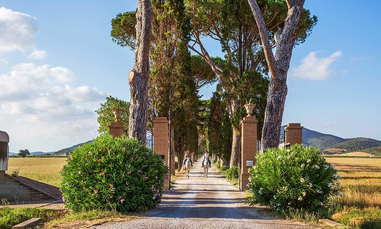 Attività sportive e fitness
