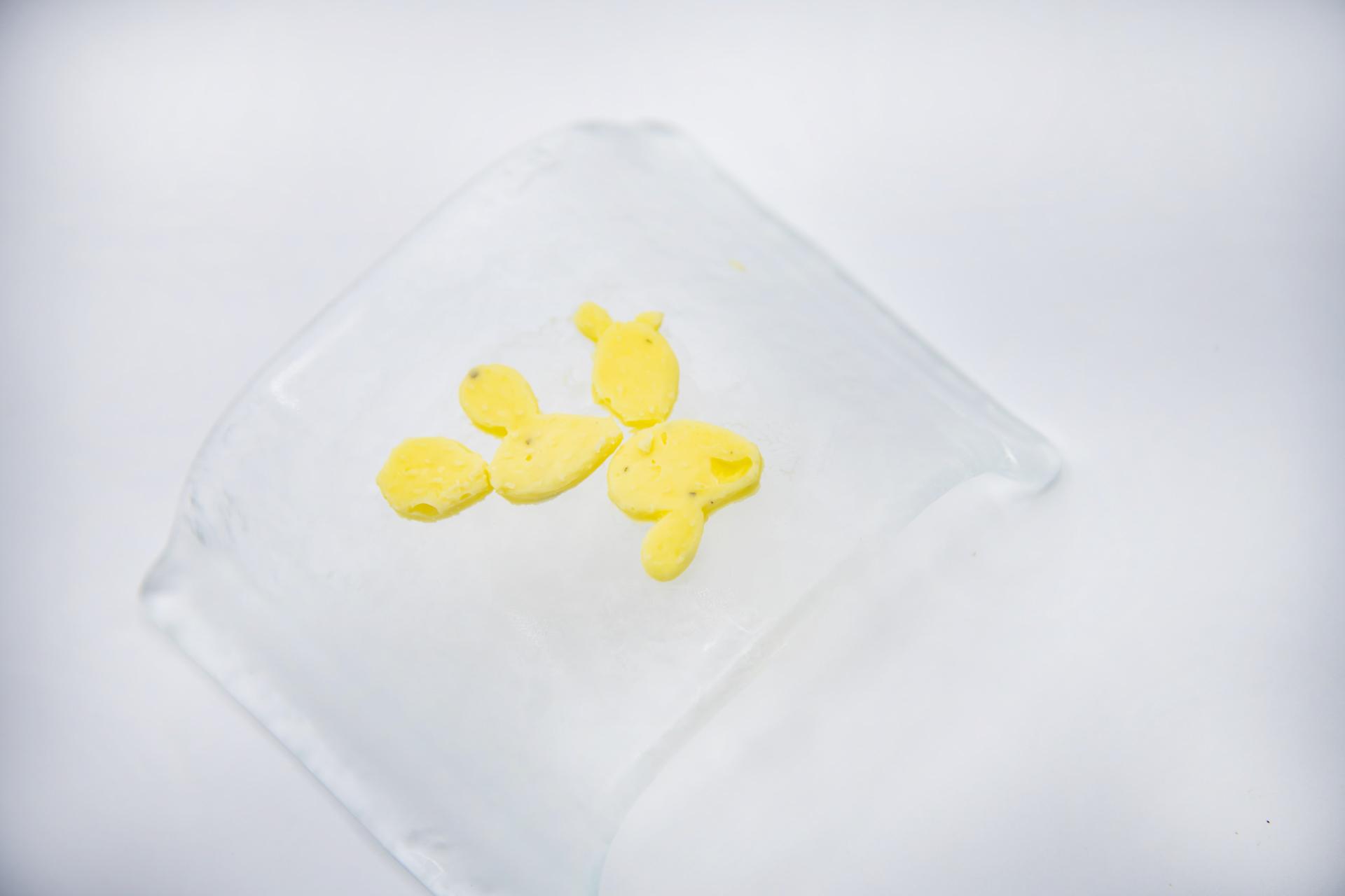 Piatti del ristorante gourmet