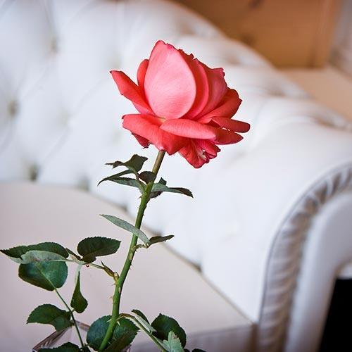 Dettagli Holzerhof Suite