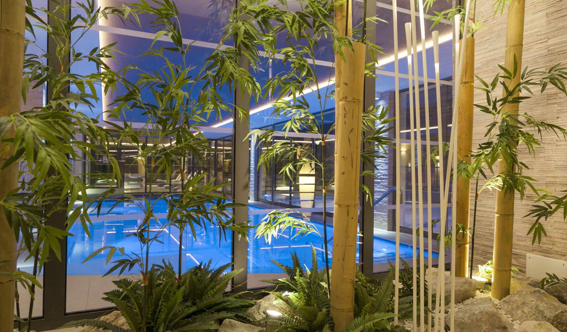 Piscina coperta Hotel Europeo Pinzolo