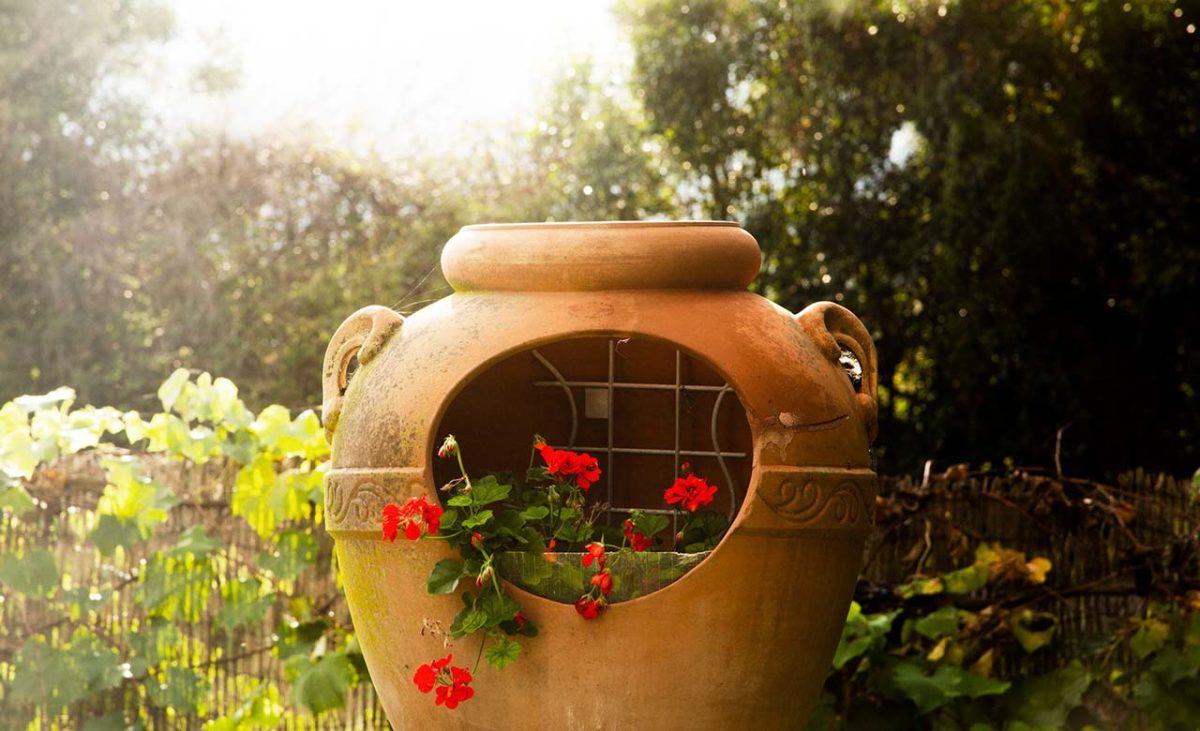 Vigneti e giardino attorno alla struttura Il Duchesco