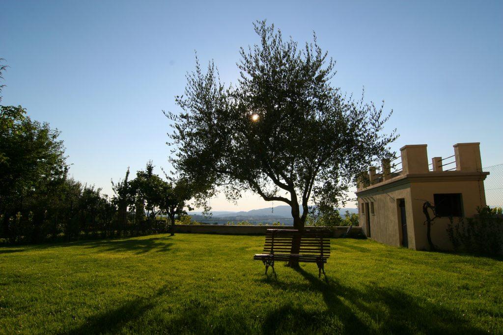 Giardino esterno della struttura