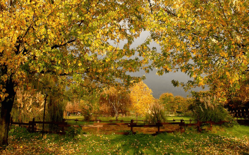 Castelli Romani agriturismo