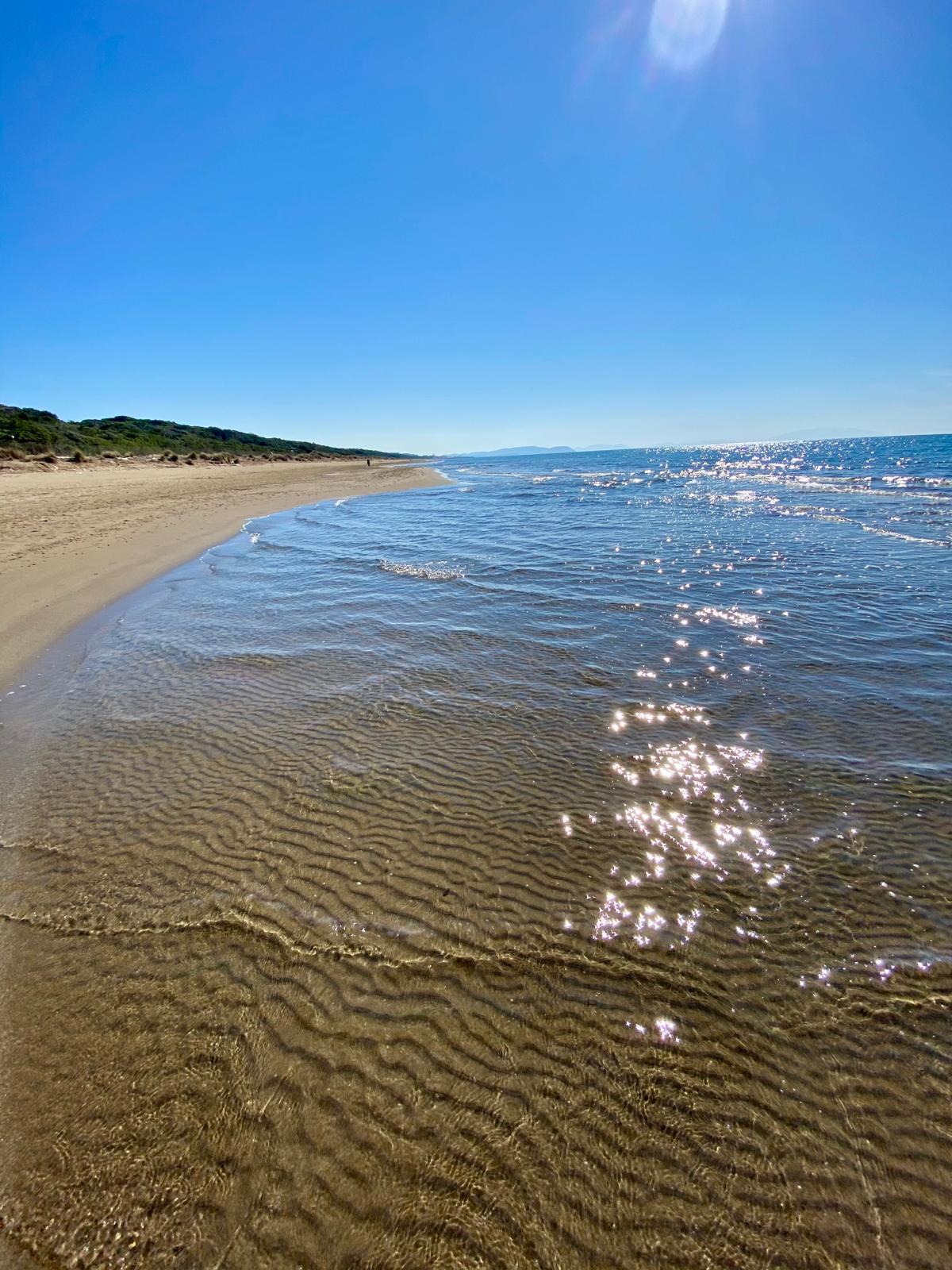 Veduta esterna del Podere Vignanova immerso tra ulivi e campagna toscana