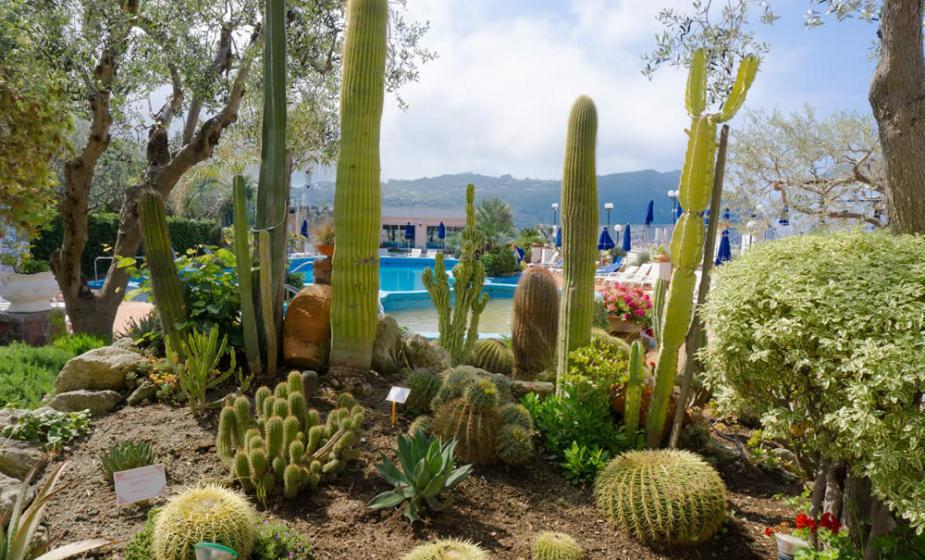 Giardino aromaterapico Eden dei Sensi