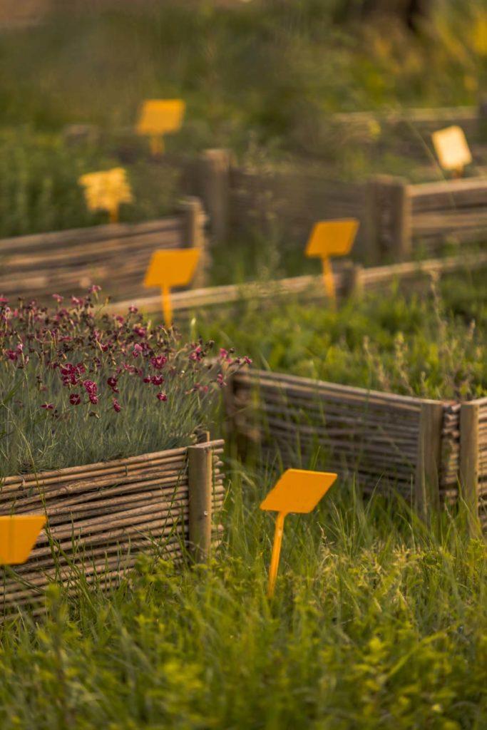 Orto botanico Roccafiore