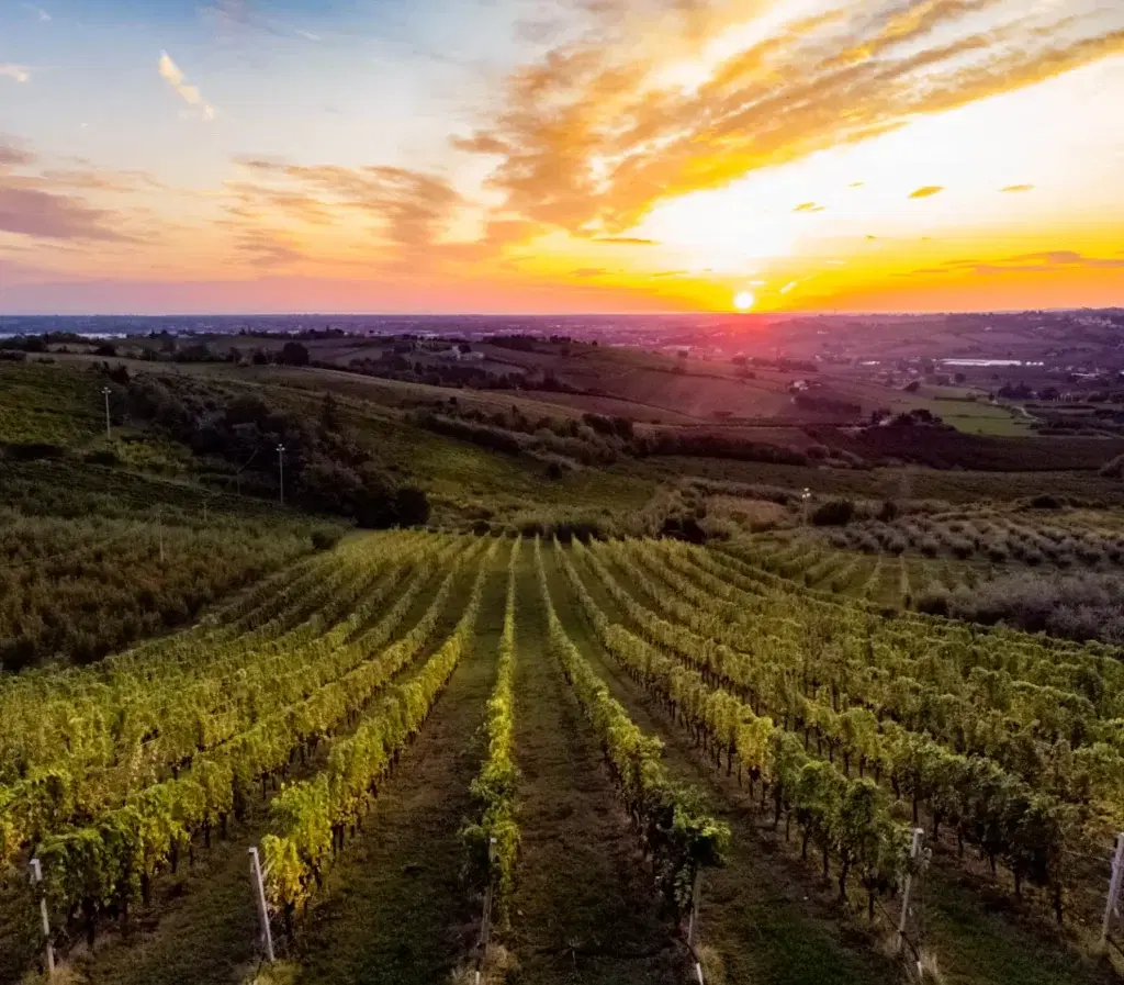 Vista esterna di Villa Monty Banks