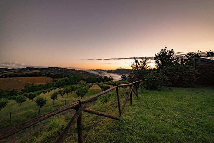 Panorama dei giardini e della regione