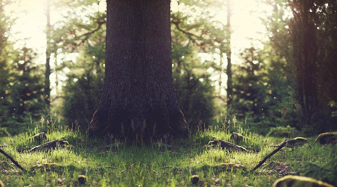 La Tenuta - Vallata con vista panoramica