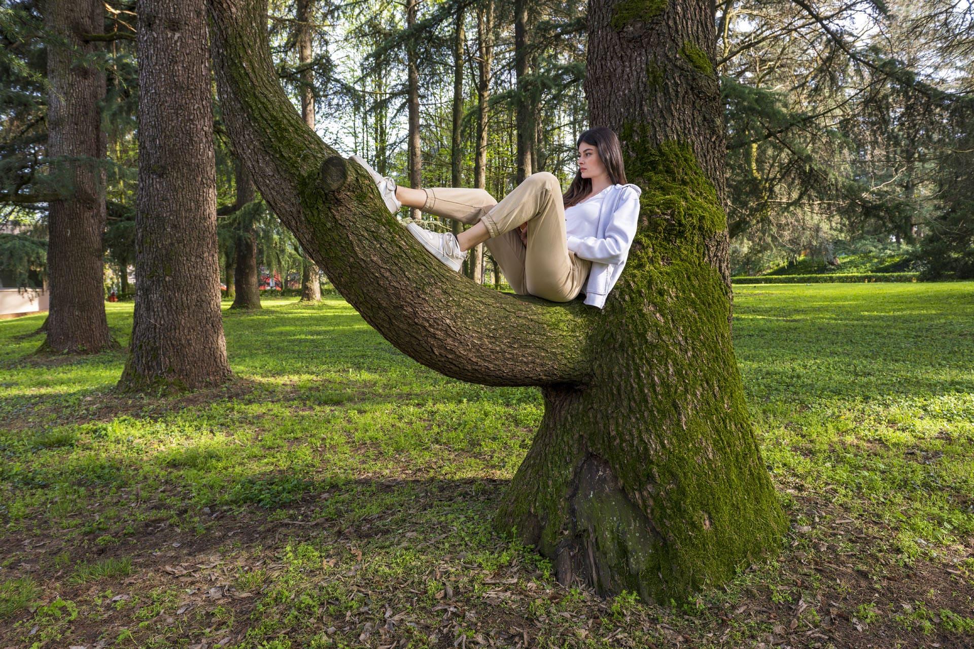 Albero secolare nel parco termale