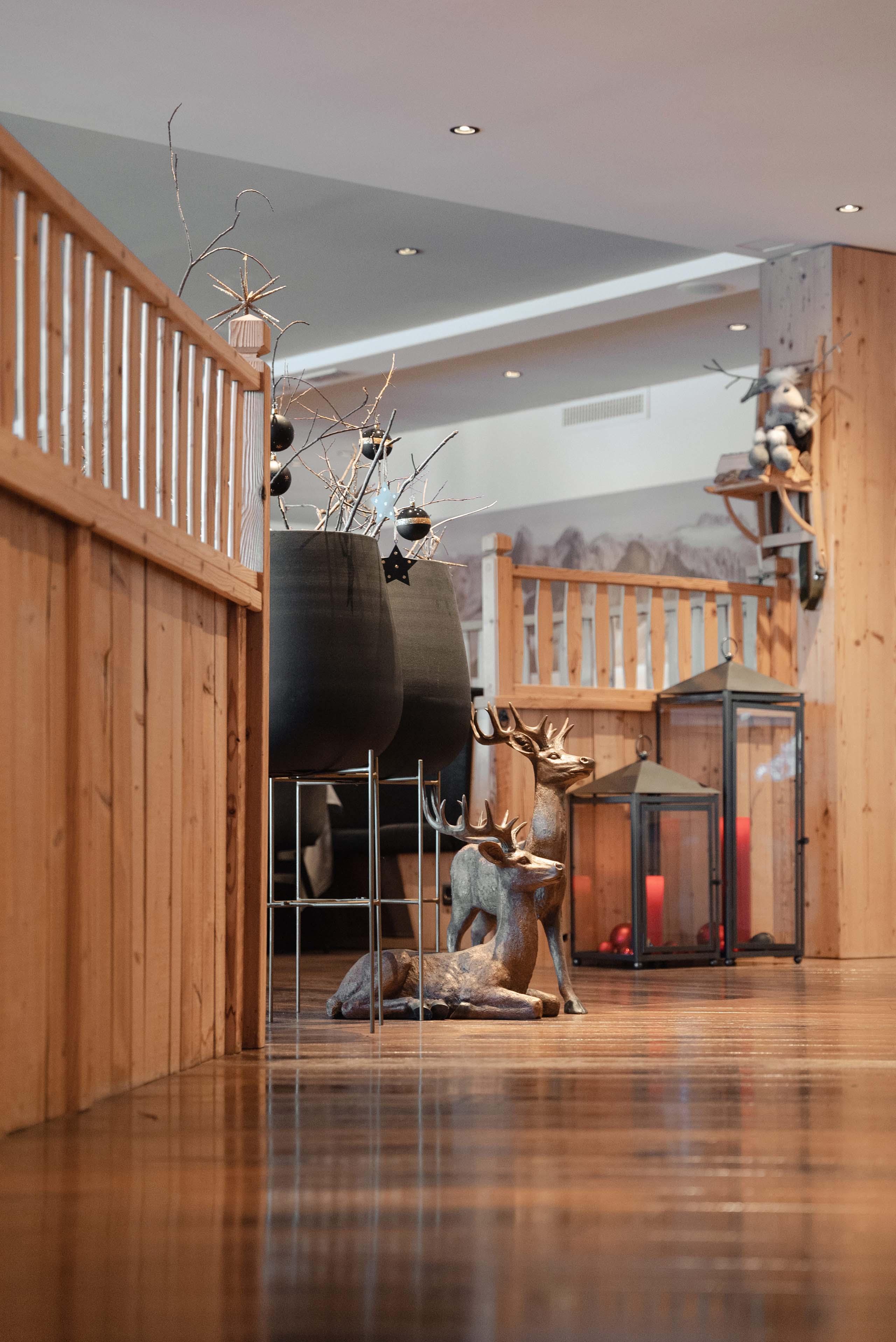 Hotel alpenrose vista generale