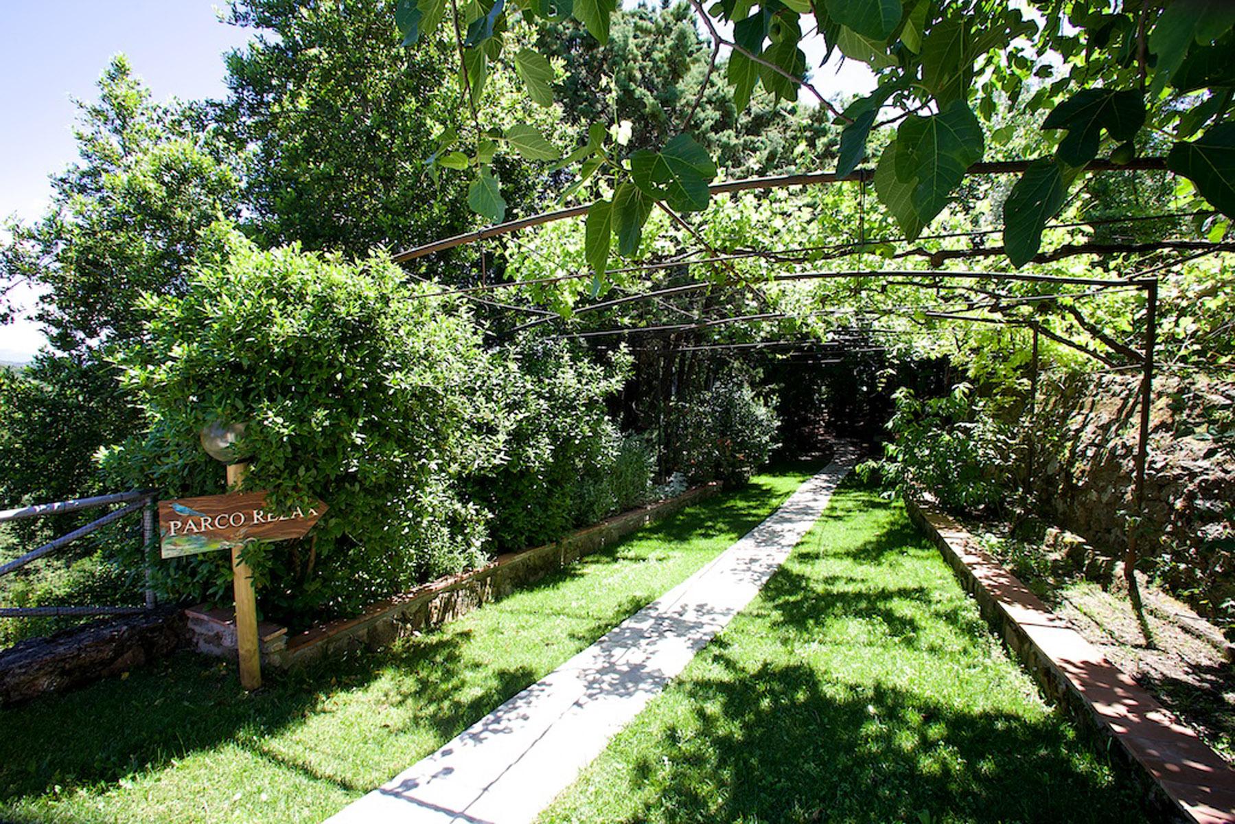 Parco relax con vegetazione