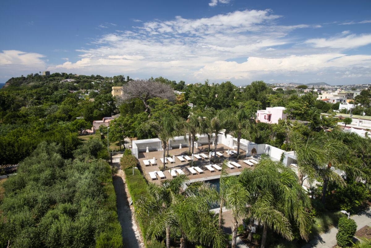 Giardino biologico con olivi