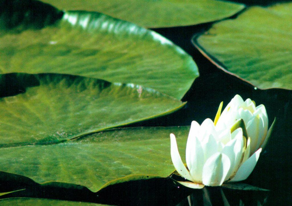 Panorama naturale Colfiorito Umbria
