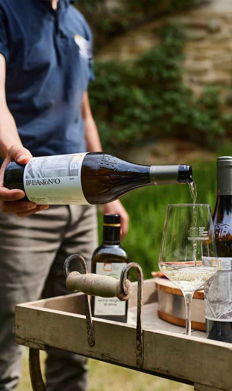 Tour della cantina biologica